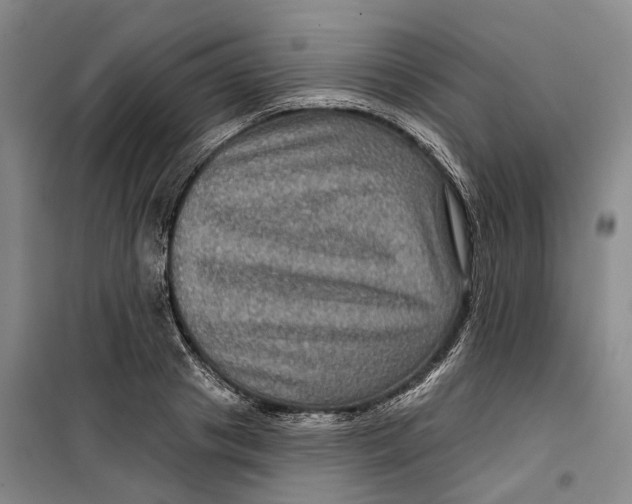 X0000099450841200805301510