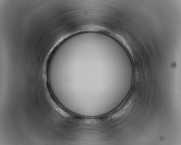 X0000099450843200805301511