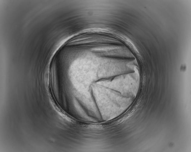 X0000099450844200805301511