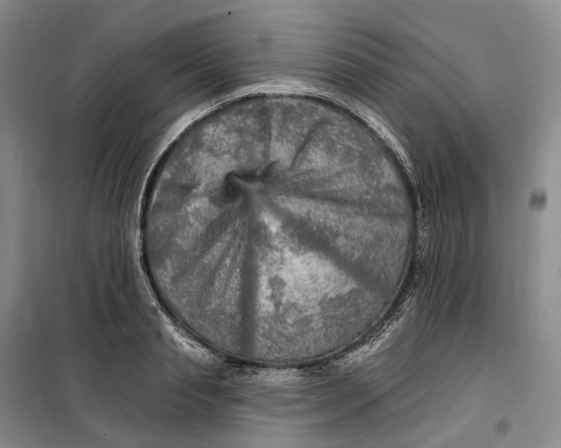 X0000099450845200805301511