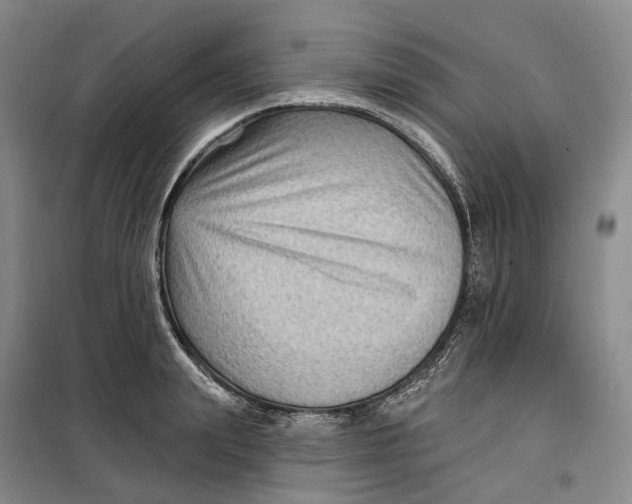 X0000099450847200805301511