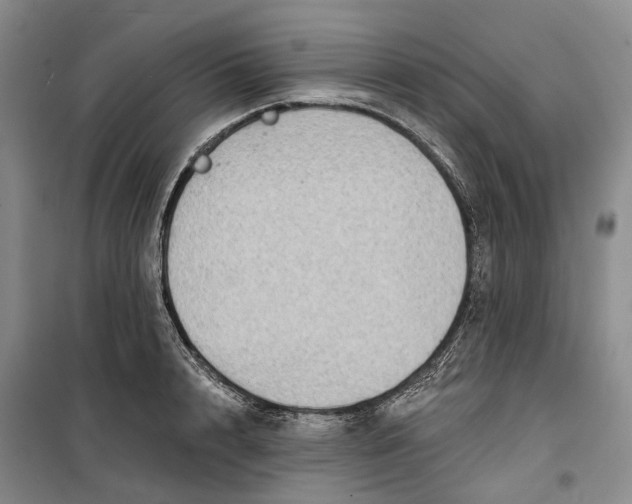 X0000099450848200805301511