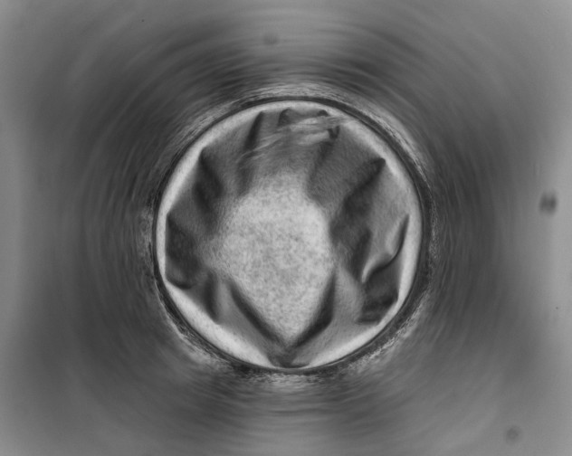 X0000099450849200805301511