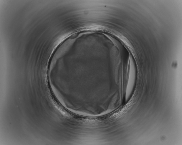 X0000099450850200805301511