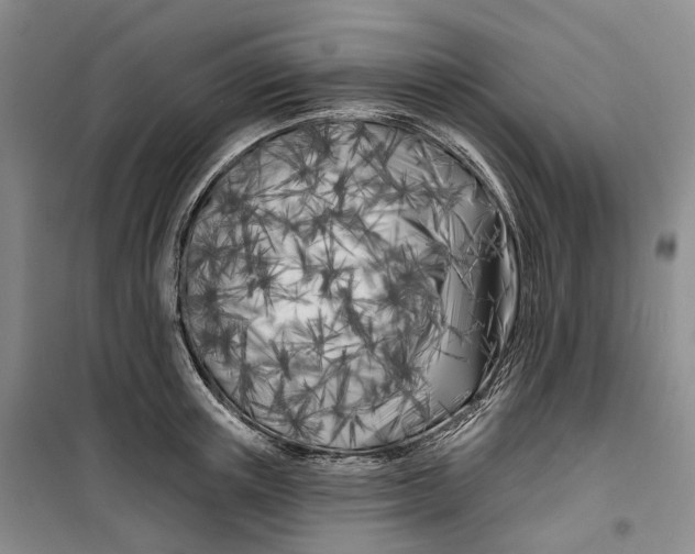 X0000099450851200805301511