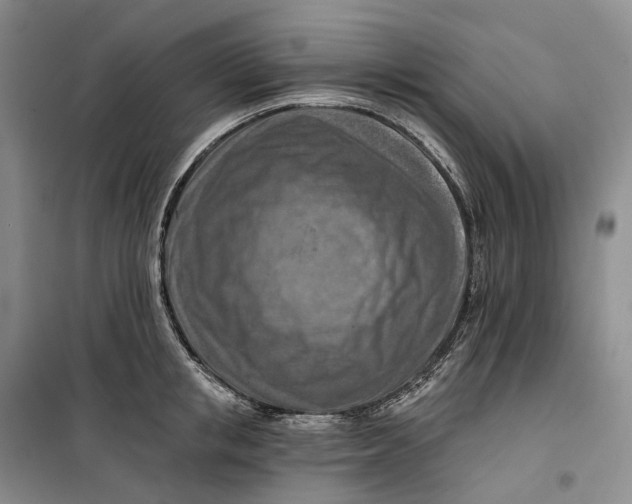 X0000099450853200805301511