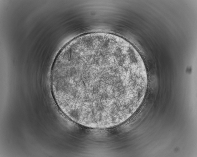 X0000099450856200805301511