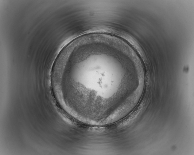 X0000099450858200805301511