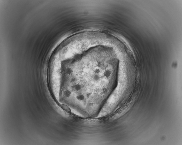 X0000099450859200805301511