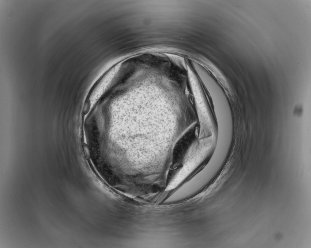 X0000099450860200805301511