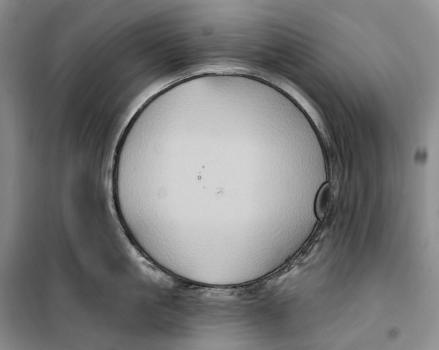 X0000099450861200805301511