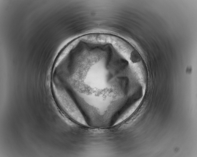 X0000099450862200805301511