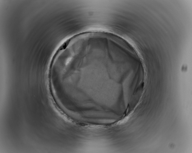 X0000099450864200805301511