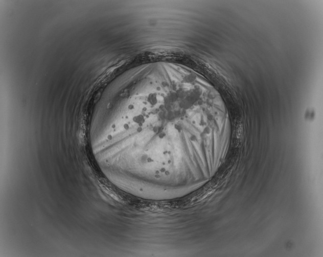 X0000099450868200805301510