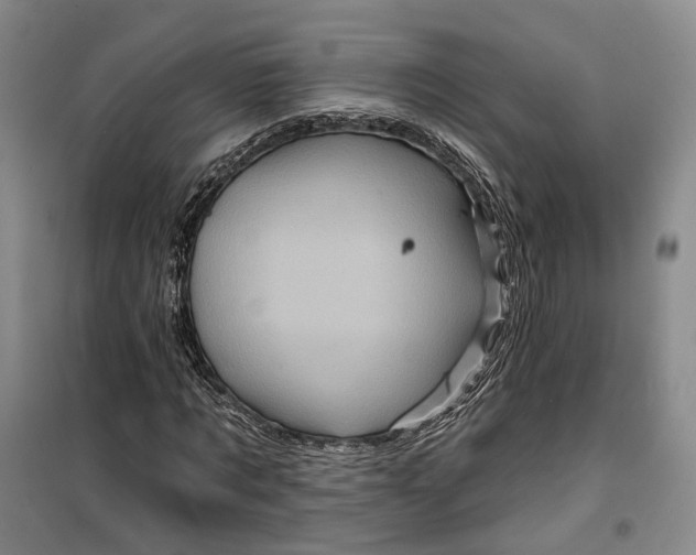 X0000099450869200805301510