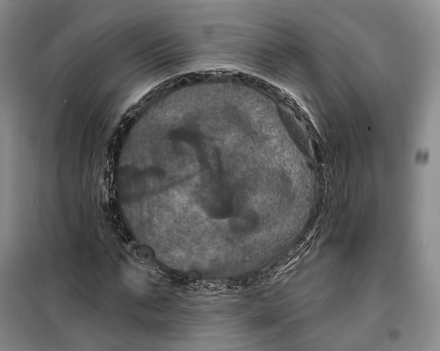 X0000099450871200805301510