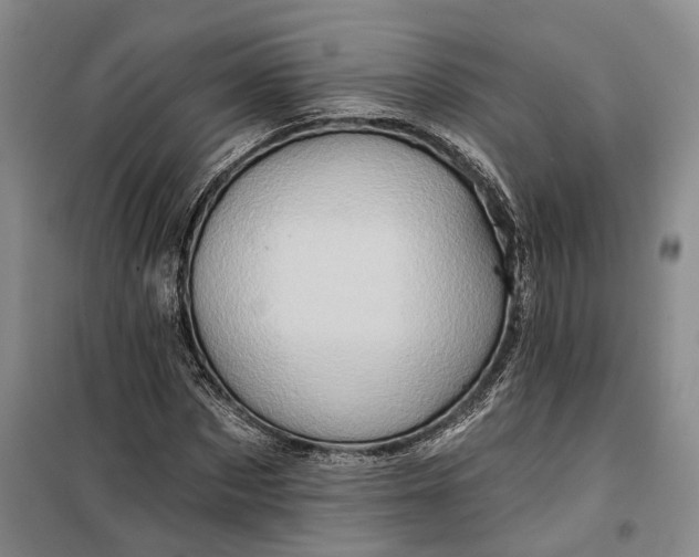 X0000099450873200805301510