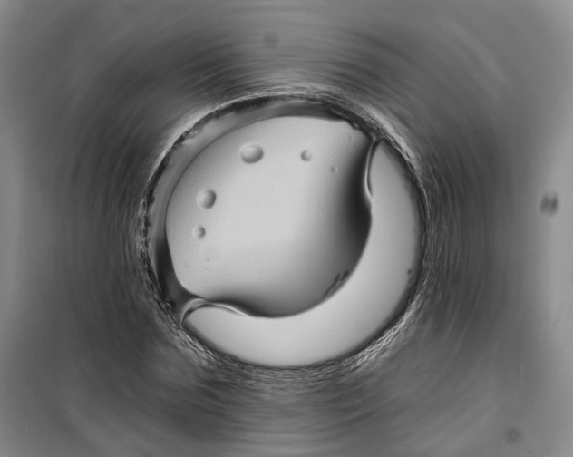 X0000099450875200805301510