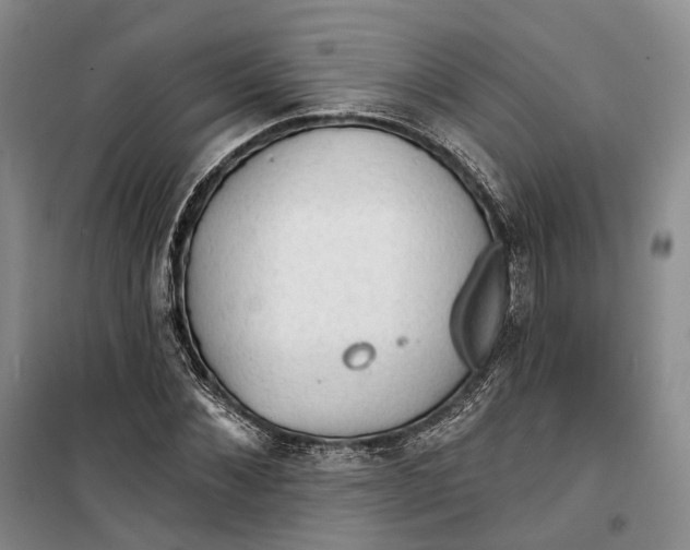 X0000099450876200805301510