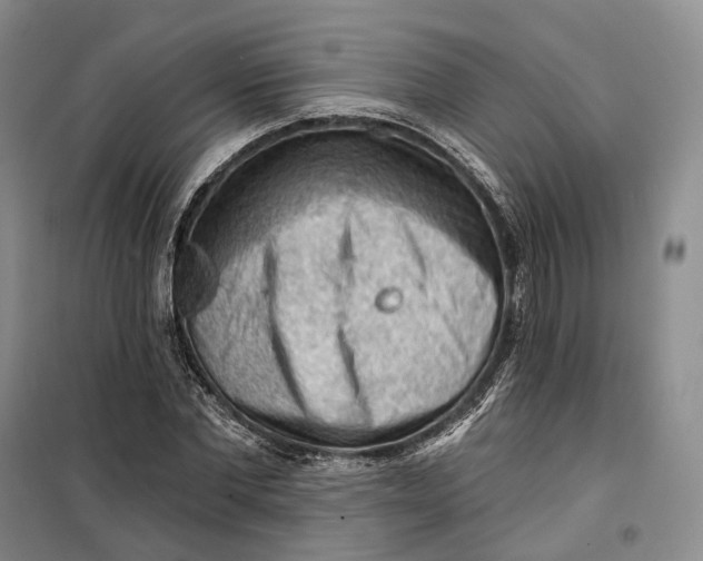 X0000099450877200805301510