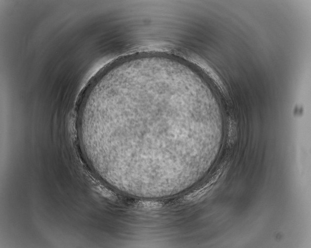 X0000099450878200805301510