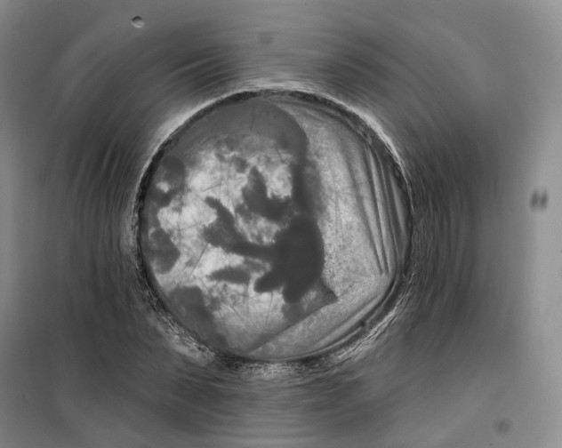 X0000099450879200805301510