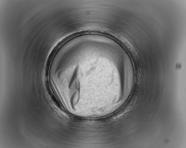 X0000099450880200805301510