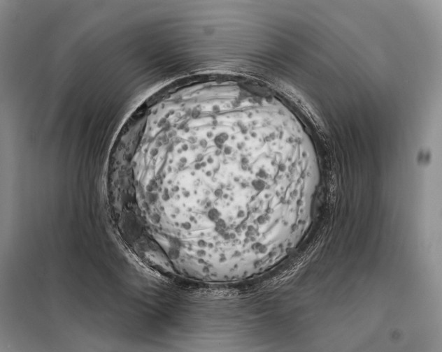 X0000099450884200805301510