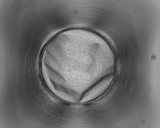 X0000099450886200805301510