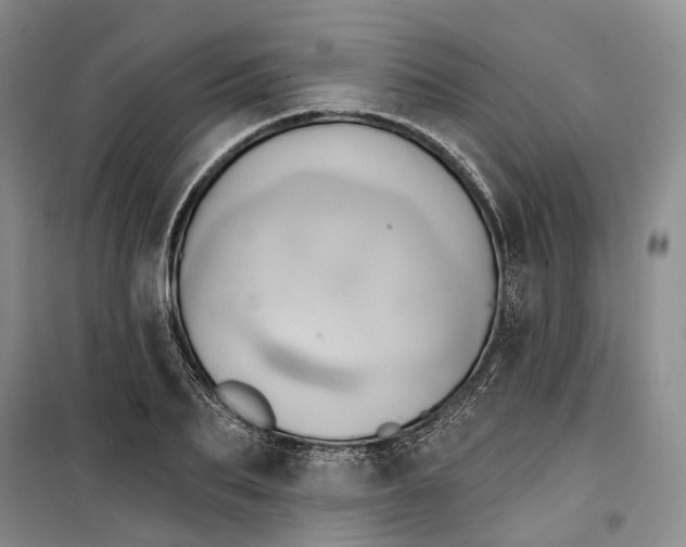 X0000099450887200805301510