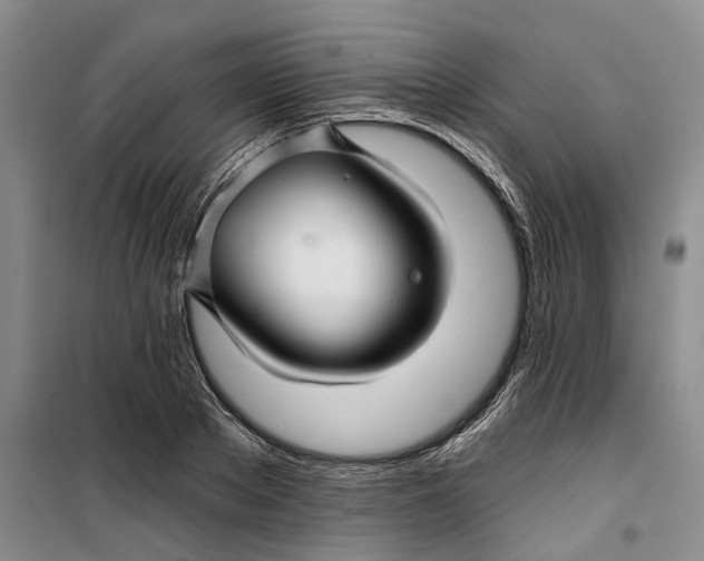 X0000099450889200805301510