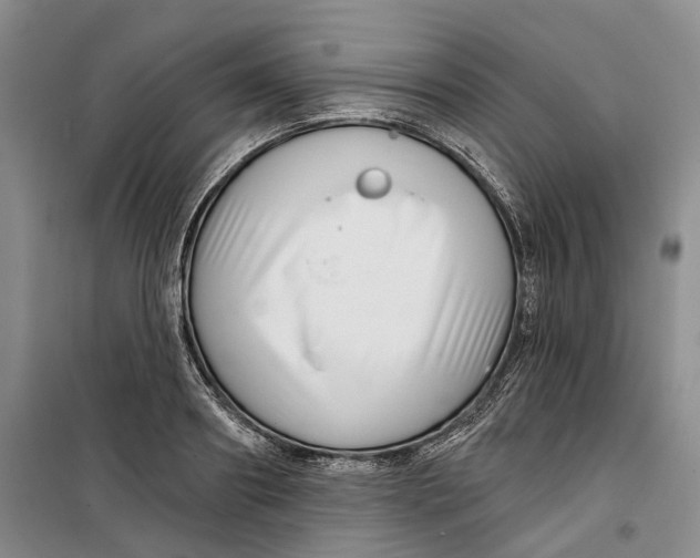 X0000099450890200805301510