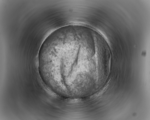 X0000099450891200805301510