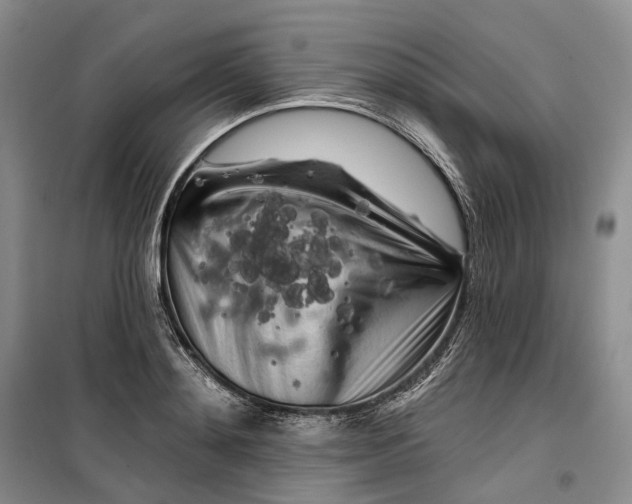 X0000099450892200805301510