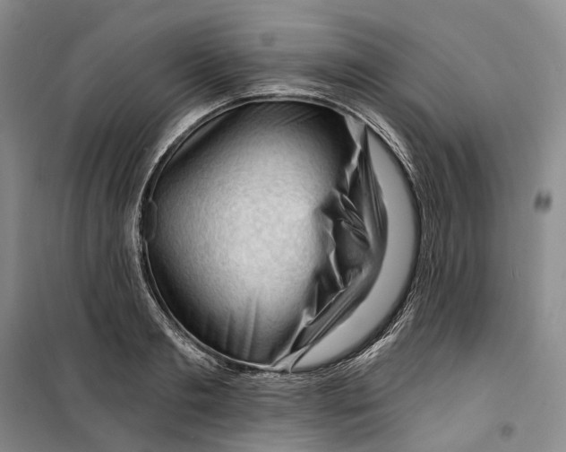 X0000099450893200805301510