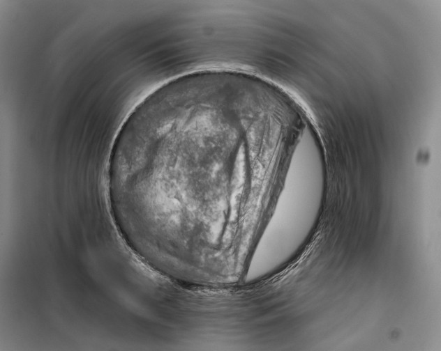 X0000099450895200805301510