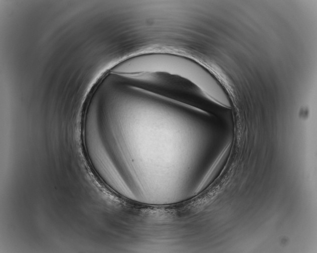 X0000099450896200805301510