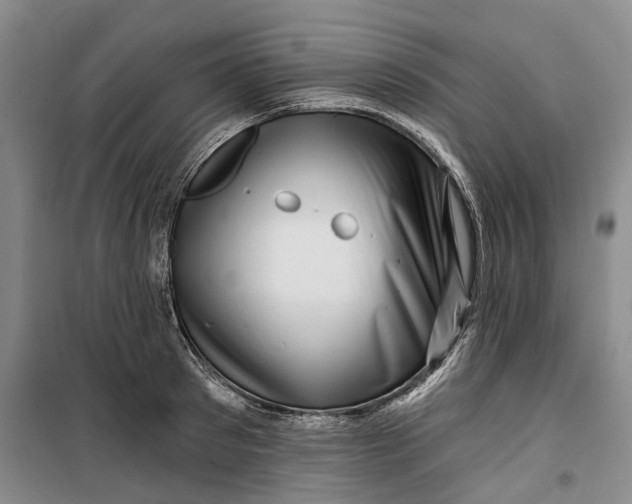 X0000099450897200805301510