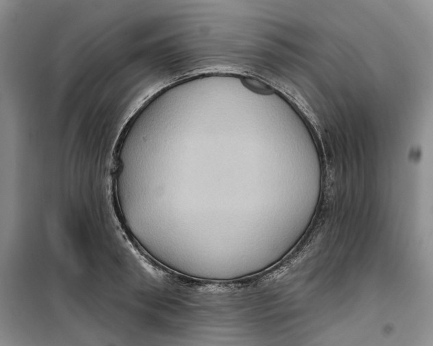 X0000099450898200805301510