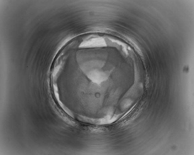 X0000099450899200805301510