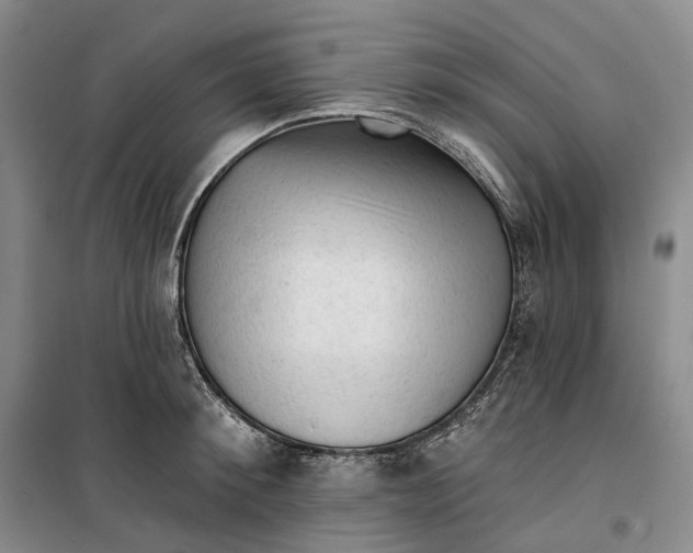 X0000099450900200805301510