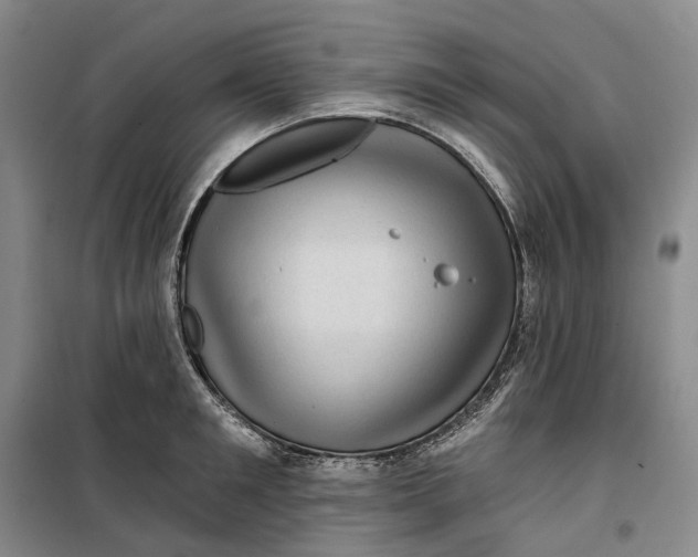 X0000099450901200805301510