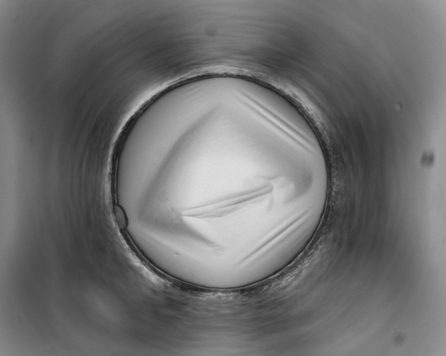 X0000099450902200805301510