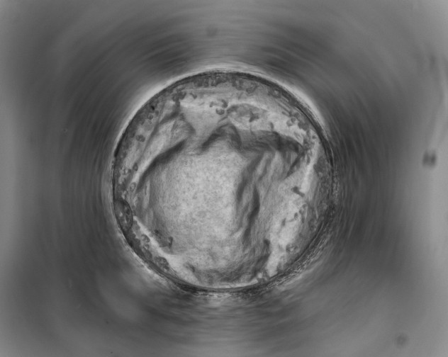 X0000099450903200805301510