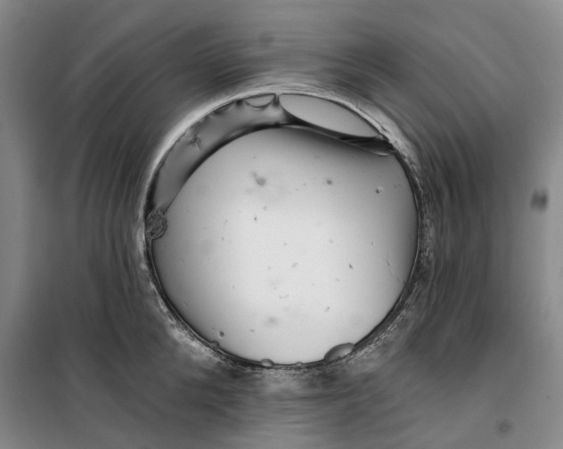 X0000099450904200805301510