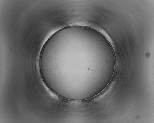 X0000099450909200805301510