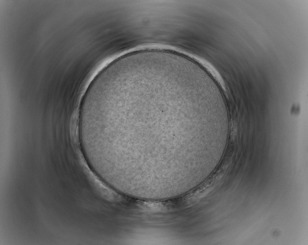 X0000099450911200805301510