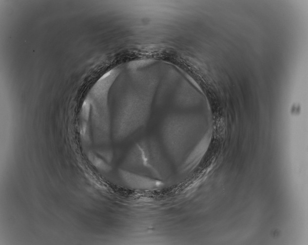 X0000099450913200805301509