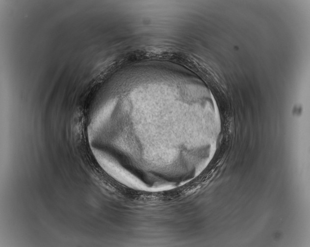 X0000099450914200805301509