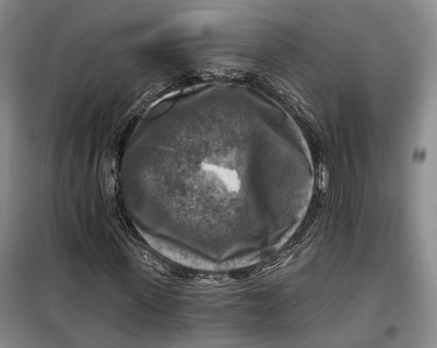 X0000099450915200805301509